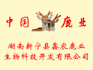 hr¹IƼ_l޹˾