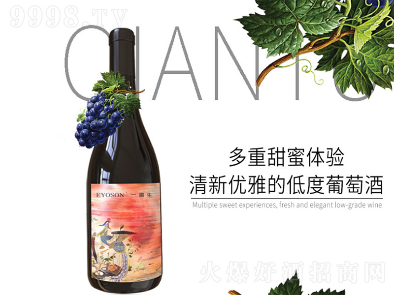һtѾơ12 750ml-tϢ