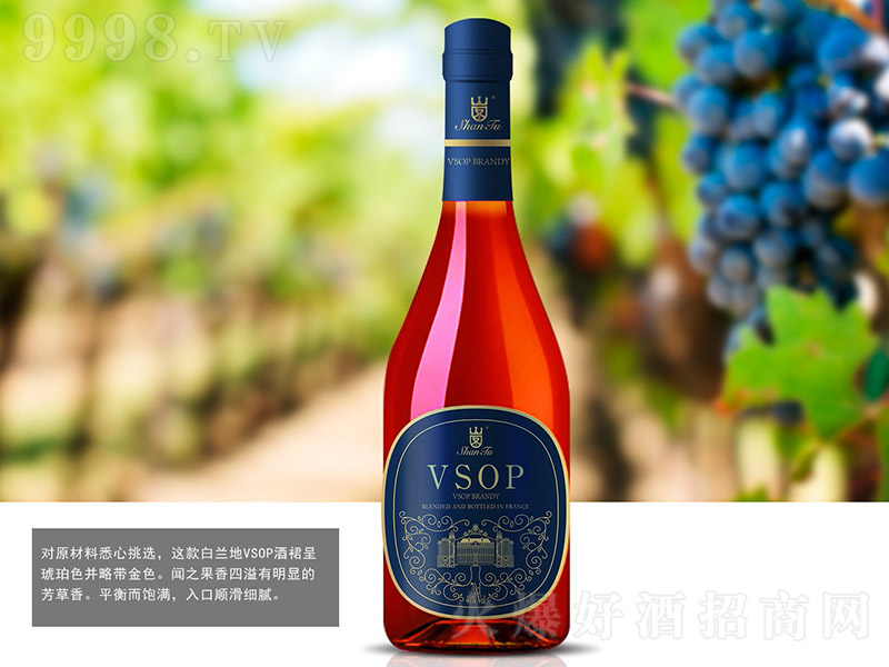 ɽDmVSOP40 700ml