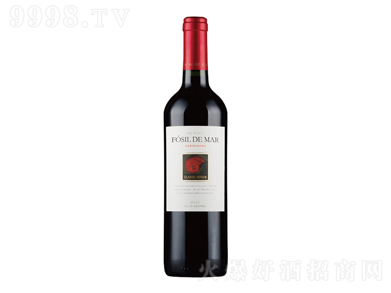 ݻʯ俨TŸɼtѾơ13 750ml