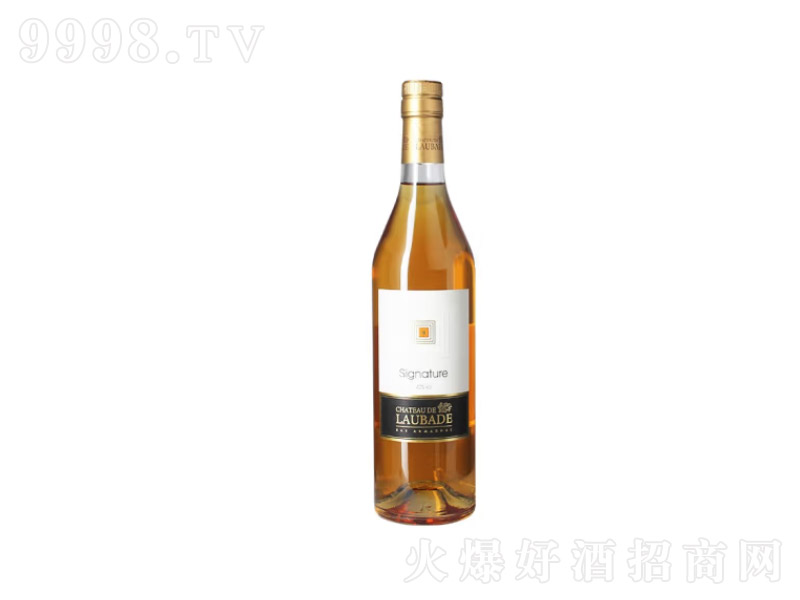 ɰ͵SIGNATUREʰ͵½ذmؾ700ml