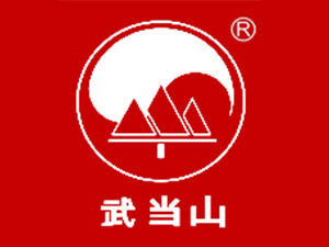 䮔ƘI޹˾