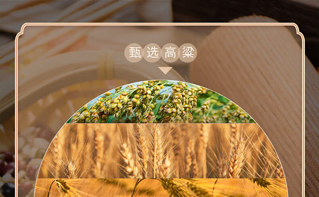 ˮſV20 ͡53475ml
